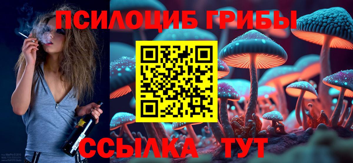 Псилоцибиновые грибы Psilocybe  закладки  Вход с VPN  Хасавюрт  Псилоцибиновые грибы Cubensis 